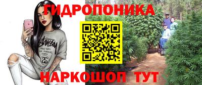 МДПВ Мариинск