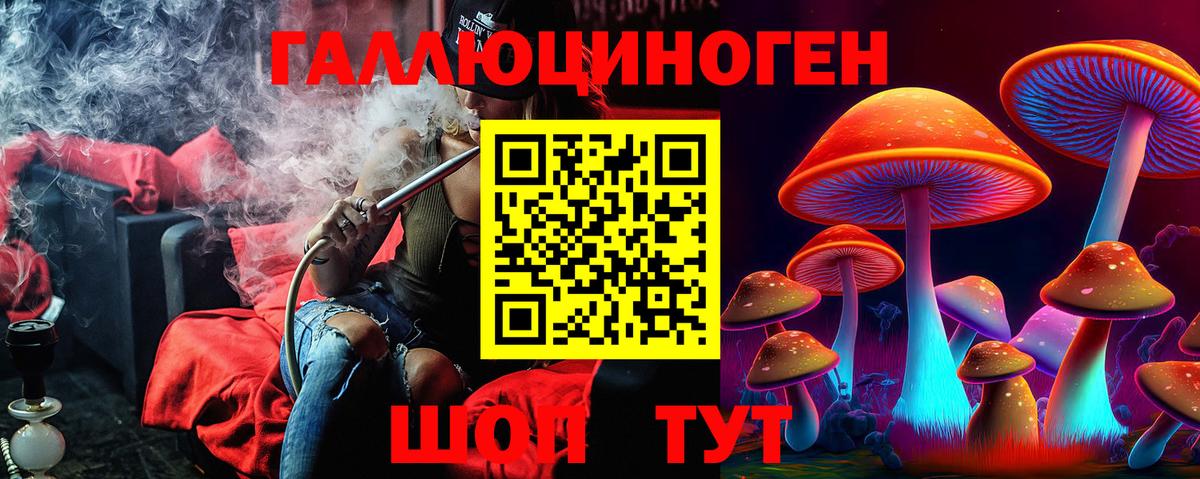 Галлюциногенные грибы Psilocybine cubensis Десногорск