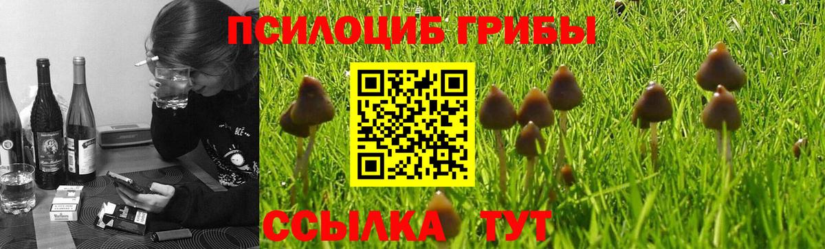 Десногорск  Псилоцибиновые грибы Psilocybe  купить наркотики сайты  Вход с VPN 